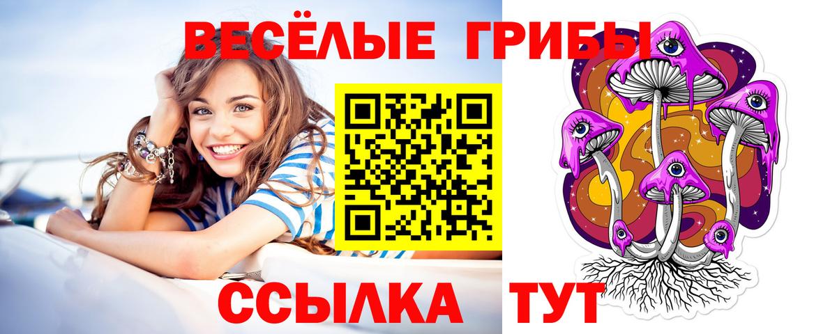 Галлюциногенные грибы ЛСД Гурьевск