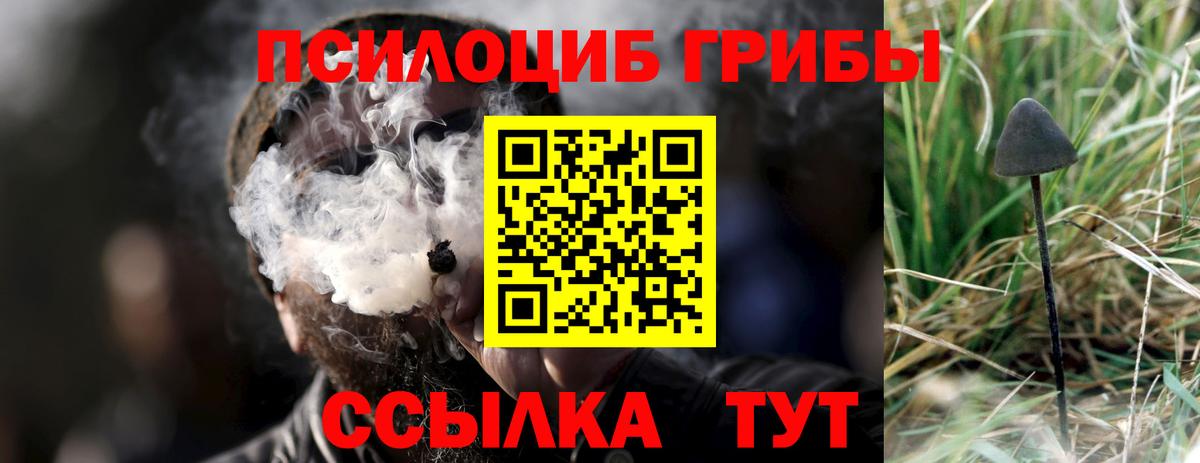 Псилоцибиновые грибы Cubensis  Псилоцибиновые грибы Magic Shrooms  дарнет шоп  Вход с VPN  Гурьевск 